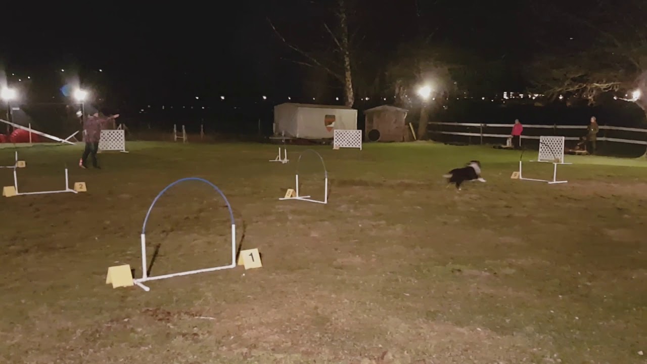 HoopAgi by Fam-dog.ch