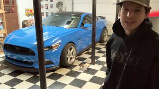 The mustang gets super wide wheel setup!