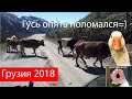 Путешествие по Грузии на мото, Гусь 1200 опять сломался=)