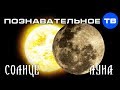 Почему СОЛНЦЕ для русских, ЛУНА для европейцев? (Познавательное ТВ, Артём Войтенков)