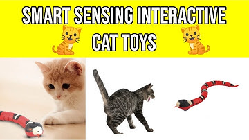 Smart Sensing Interactive Cat Toys Automatic Eletronic Snake Cat Teasering Play USB Rechargeable