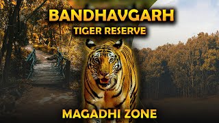 Bandhavgarh National Park | Bandhavgarh Tiger Reserve | Jungle Safari | Magadhi Zone |