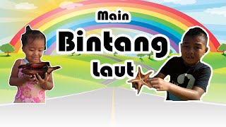 Main Bintang Laut