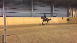 Cartienne träning 20150324