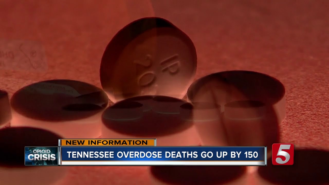 Overdose deaths rise in Tennessee despite national trend - YouTube