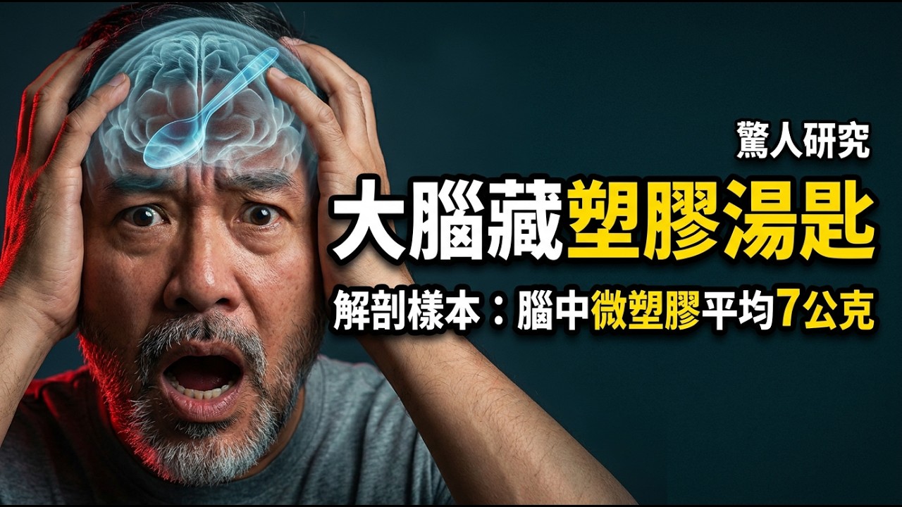 你的大腦裡藏了一根塑膠湯匙?研究曝微塑膠8年暴增50%,正從茶包、紙杯、口罩滲入 縮圖