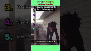 Ranking Funniest Animal Pranks #funny #tiktok#pets#animal