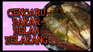 CENCARU BAKAR BELAH BELAKANG