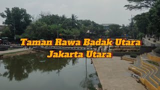 Taman rawa badak Utara, Jakarta Utara