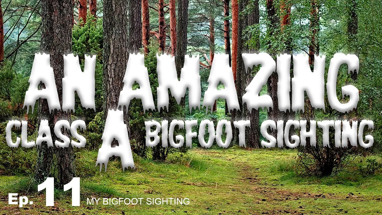 An Amazing Class A Bigfoot Sighting! - My Bigfoot Sighting Episode 11
