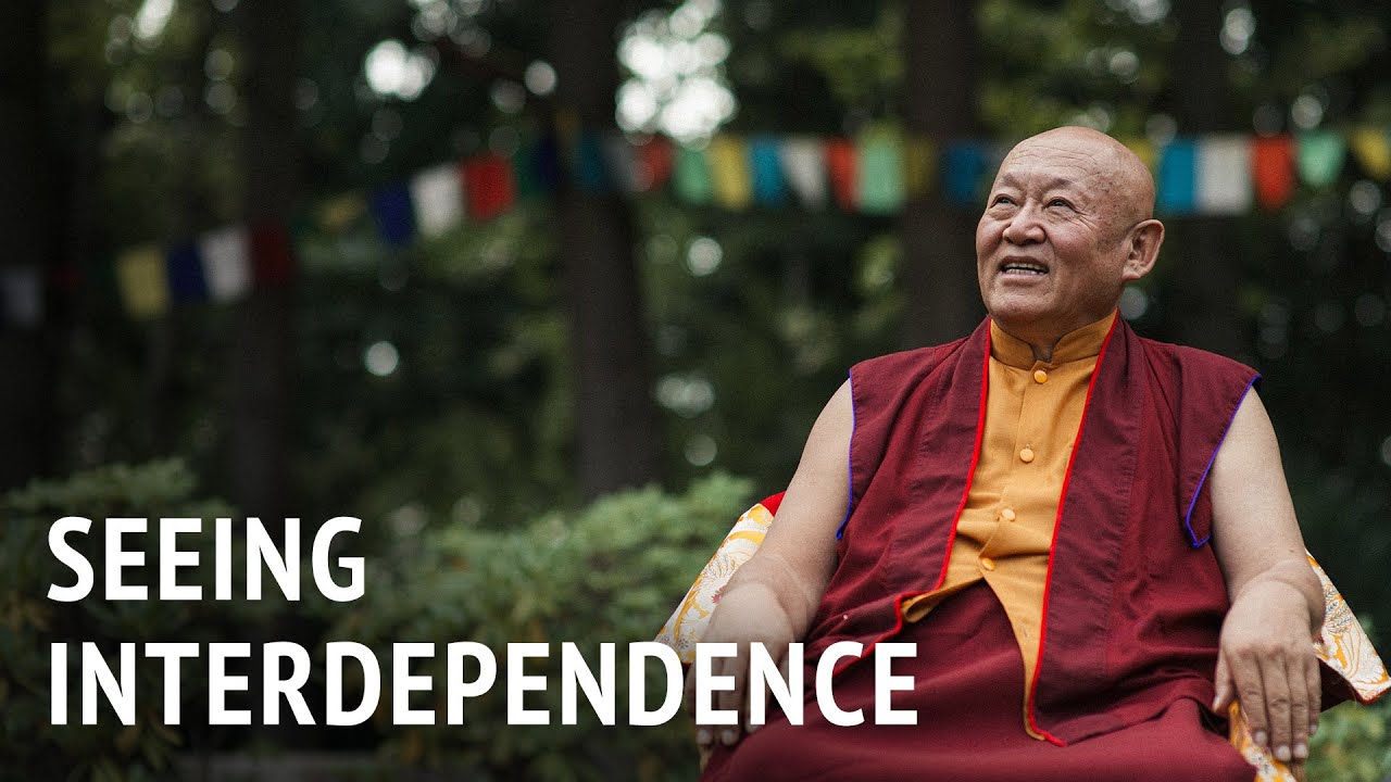 Видение взаимозависимости