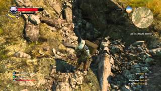 The Witcher 3: Wild Hunt ultimatum sword