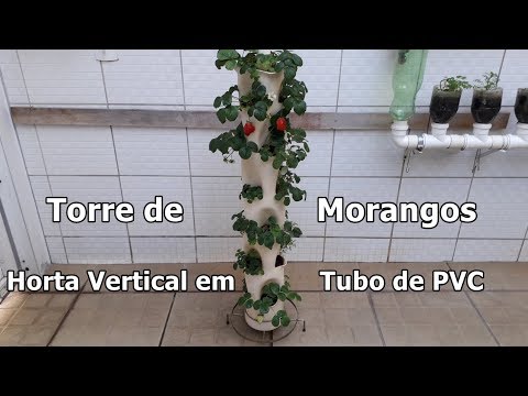 Vaso de Tubo PVC, Como plantar Morangos, Horta Vertical Orgânica