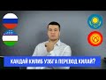 Кандай килиб Россия давлатидан Узбга университетди кучириб утай? Хамма боладиган кийинчиликлар