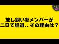 第一回「放し飼い」大喜利