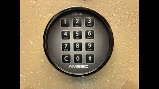 Celebrity AMSEC ESL10 Operating Instructions | Includes combo change, penalty mode and other tips and tricks. Net Worth