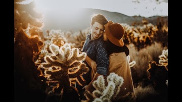 Wayward Wanderers - Ep. 1 Death Valley, Joshua Tree, and Valley of Fire