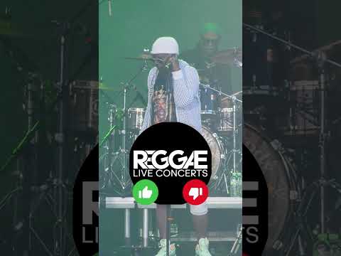 Alpha Blondy - Multipartisme  #Reggae #reggaesunsplash   #reggae #reggaeliveconcerts #livemusic