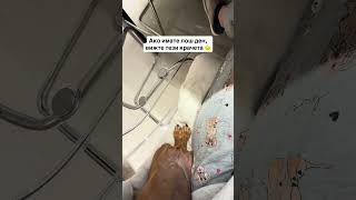 Ако имаш, лош ден виж това 🤣