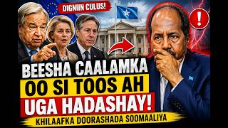 Sir Culus÷ Beesha Caalamka Oo Si Toos Ah Uga Hadashay Khilaafka Doorashada Soomaaliya”