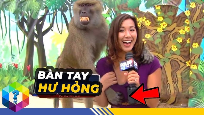Khám phá Sự Thật Đằng Sau https//obhcanxibaby.com/ - Một Cái Nhìn Sâu Sắc về Xu Hướng Phát Triển Mới