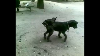 Размер не имеет значения Размер не имеет значения