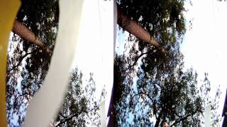 Casey's Fireworks in 3D
