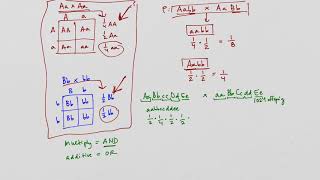 BIOL183 Probabilities