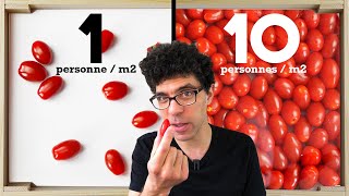 10 niveaux de foule expliqués avec des tomates