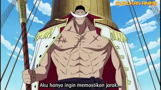 Mihawk menyerang shirohige