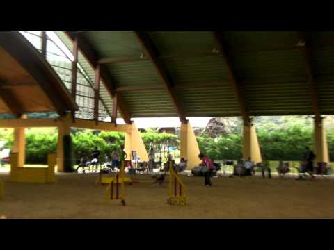 2011 9 11 ウッディードーム・世界大会壮行会・JP１