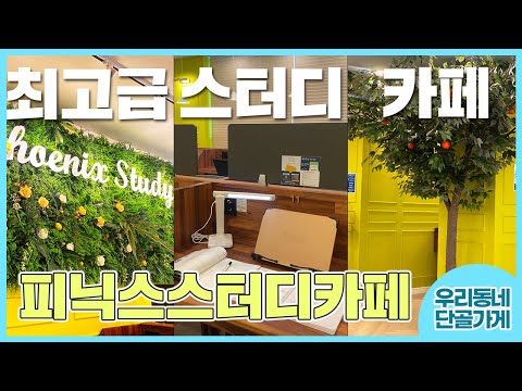 피닉스스터디카페