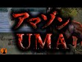 #49.UMA未確認生物図鑑(マピングアリ/ジャイアントスネーク/ホラディラ)
