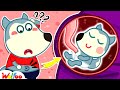 Wolfoo, Why Do We Have Belly Buttons? - Educational Videos for Kids | Funny Kids Cartoon