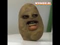 Annoying Mr.Potato Man maiyahi