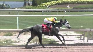 Gulfstream Park Replay Show | March 31, 2016