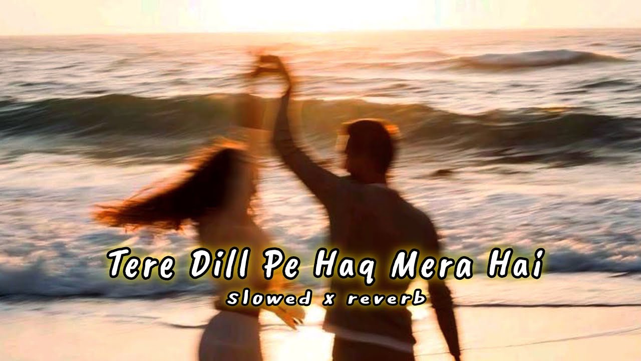 Tere Dil Pe Haq Mera Hai | Vishal Mishra | [Slowed x Reverb]