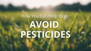 How You Can Help Birds: Avoid Pesticides Wealth