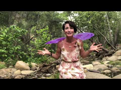 Starlight- The Faery Who Lost Her Light!