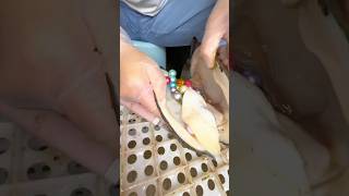 Pearls extraction ✨🦪💎🤩 #crystals #satisfying #gem #gold #pearl #colouredgemstones
