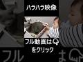 狂暴猫VS赤ちゃん!
