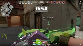 SKYE BUG (C ABILITY + CELESTIAL FAN)