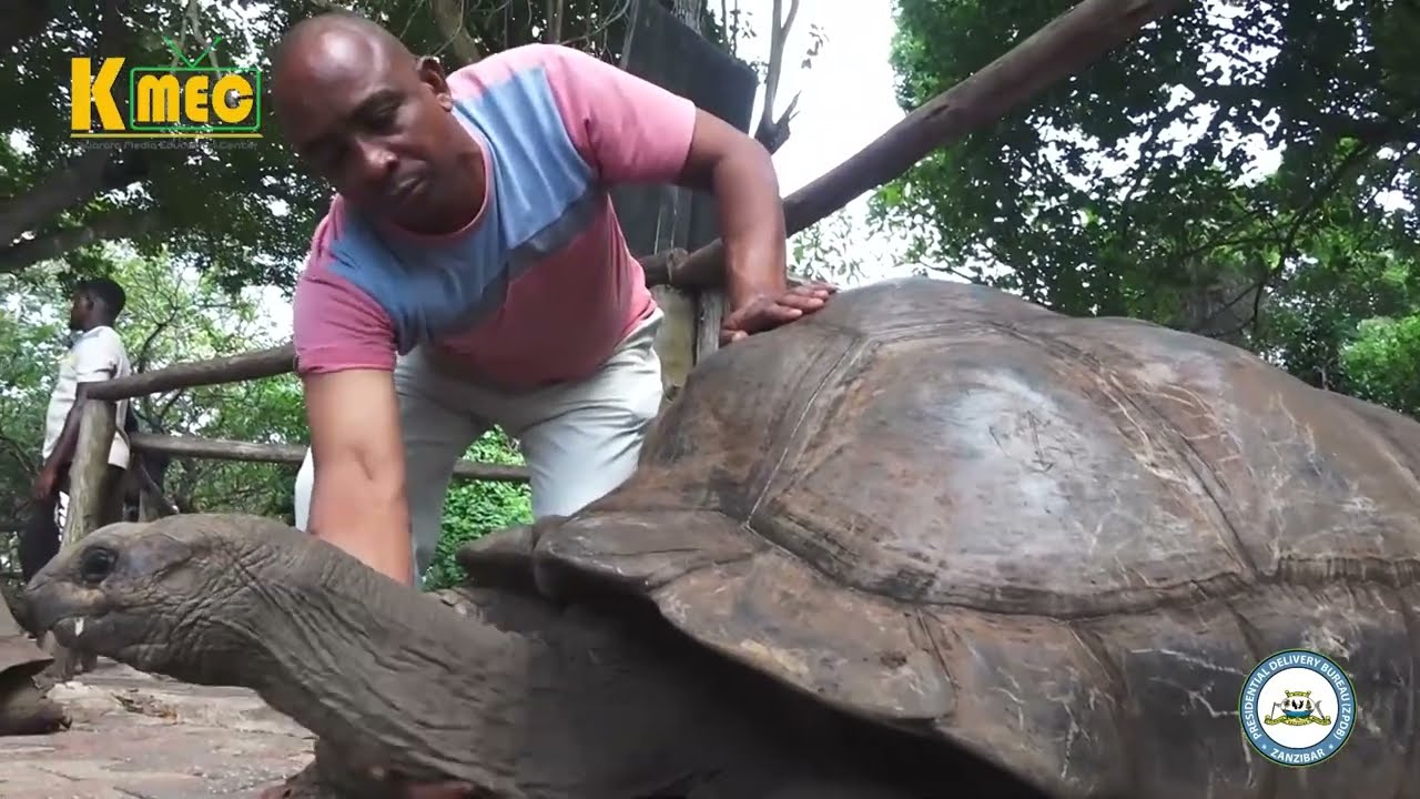 UWEKEZAJI, UCHUMI WA BULUU-UHIFADHI WA KOBE.