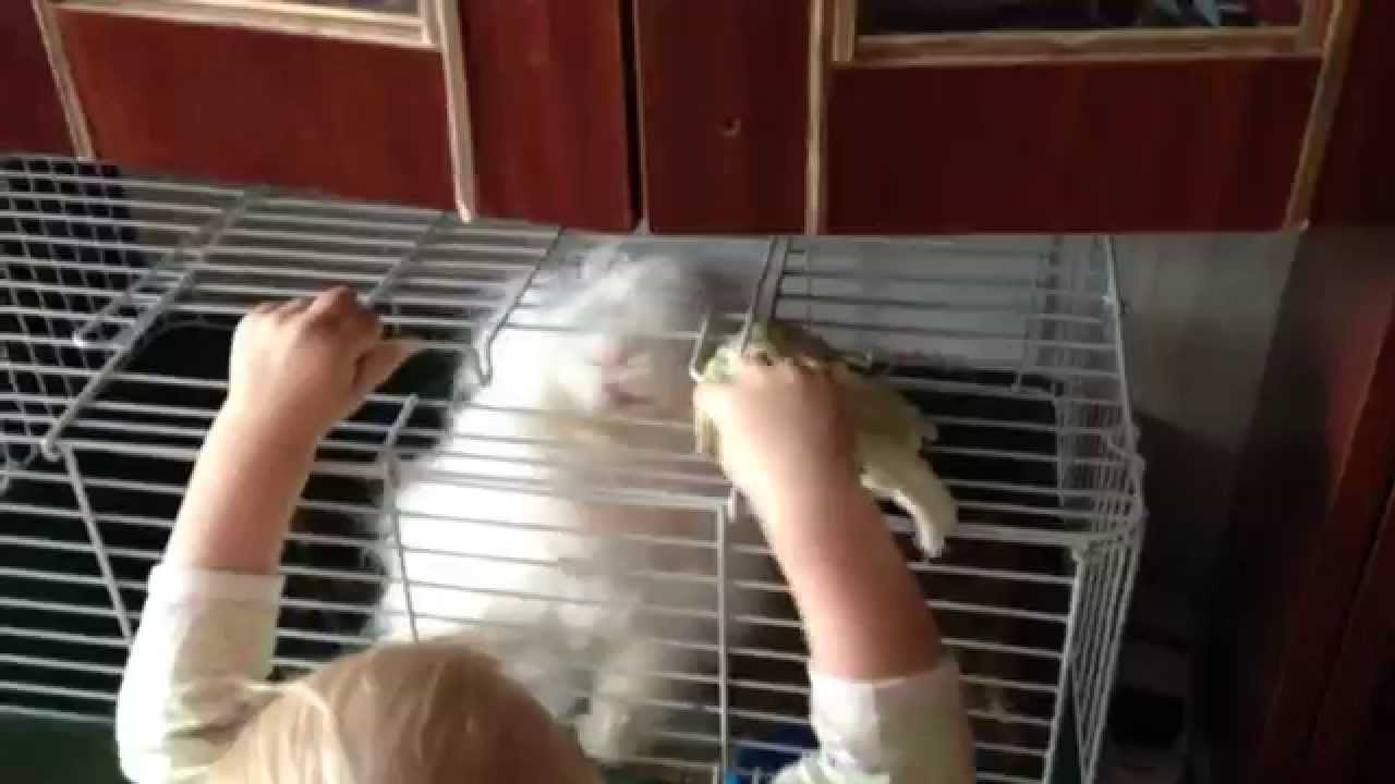 Влог: Бытовая химия в нашем использовании.Уборка вещей. Родительское собрание в саду. - YouTube