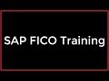 SAP FICO Training - Assets : Master Data (Video 31) | SAP FICO