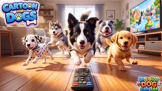 The Cartoon For Dogs You Need Keep your little puppies happy and entertained at home Dog TV