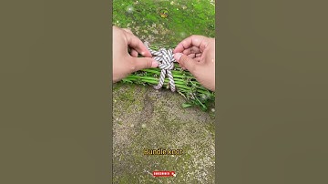 How to make bundle #shorts #knot #gtknot #git #bundle