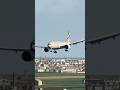 B777F Landing #landing #aeroflyfsglobal #gaming #aviation #b777f #brussels #reels
