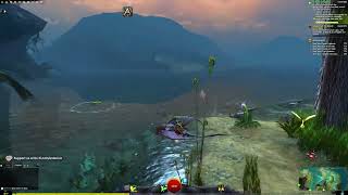 my stream graphics settings Guild Wars 2 - Ardenius is live