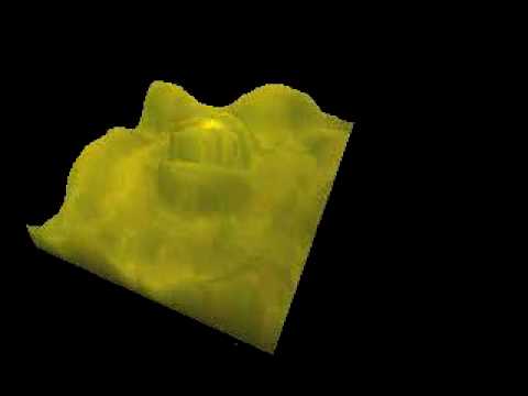 Shape from Focus: Leaf Structure